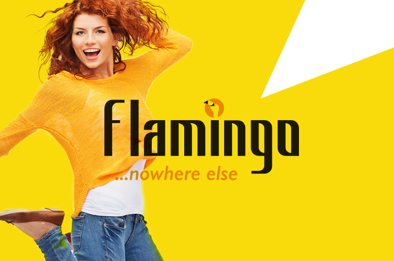 Flamingo branding